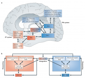 Fig. 2 from Ranganath and Ritchey, 2012. Network of brain regions supporting memory-guided behavior involving people, places and things. This testable framework my prove to have some arrows missing or a little off the mark, but we think it's a good place to start.